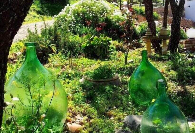 בית מלון כפרי Casale Margherita Turismo Rurale