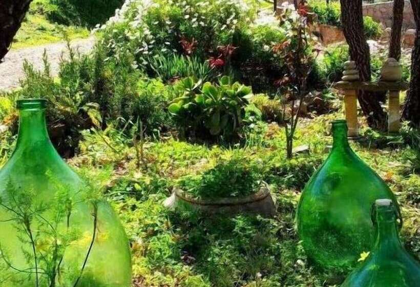 בית מלון כפרי Casale Margherita Turismo Rurale