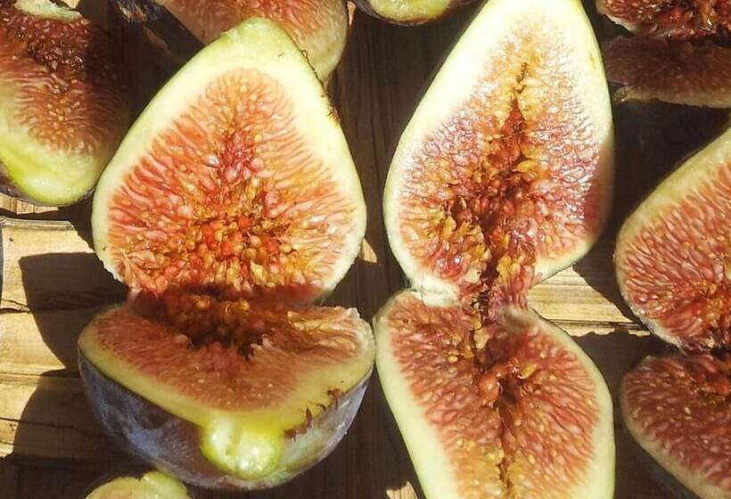 בית מלון כפרי Casale Margherita Turismo Rurale