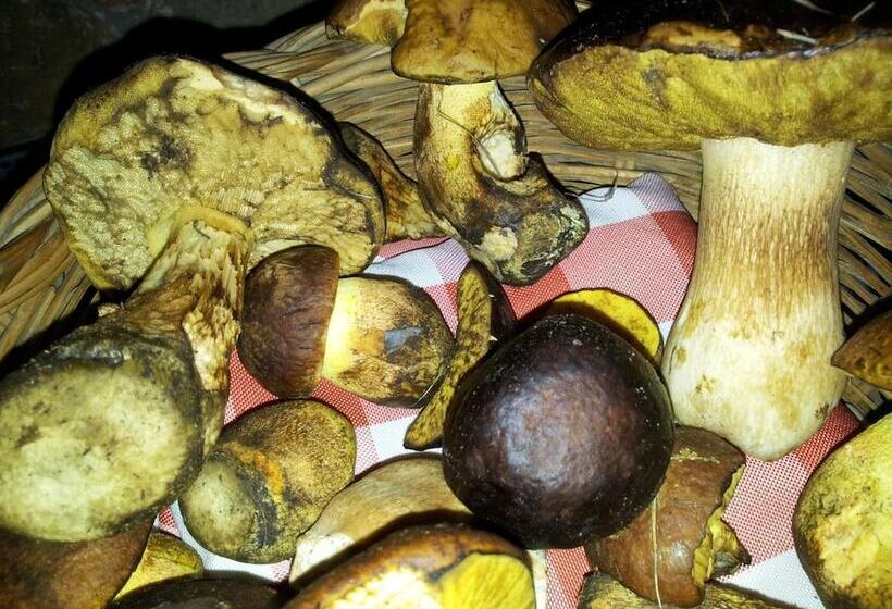 בית מלון כפרי Casale Margherita Turismo Rurale