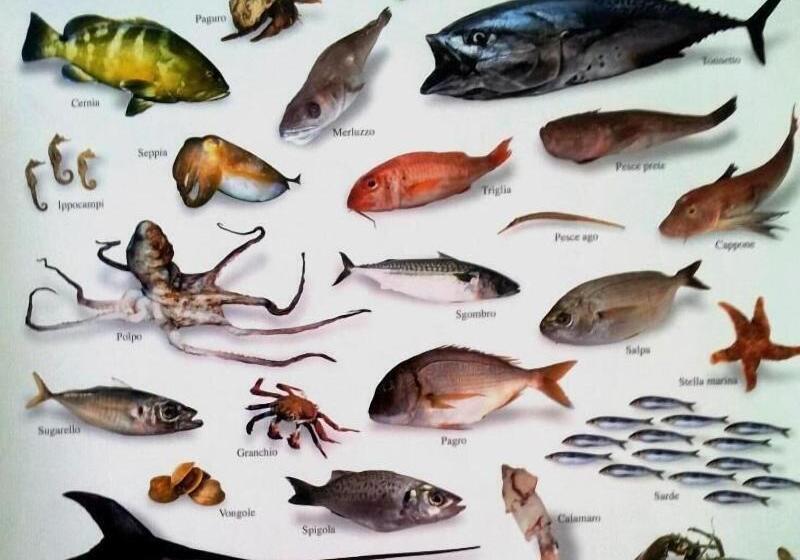 בית מלון כפרי Casale Margherita Turismo Rurale