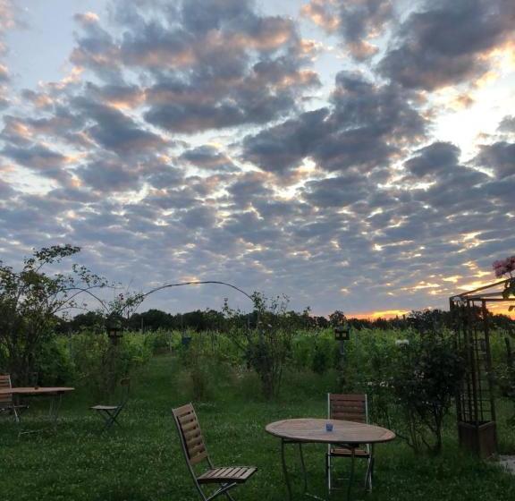 Отель Cascina La Maddalena Bed & Wine