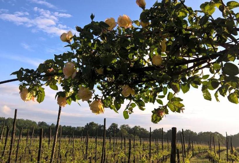 Отель Cascina La Maddalena Bed & Wine