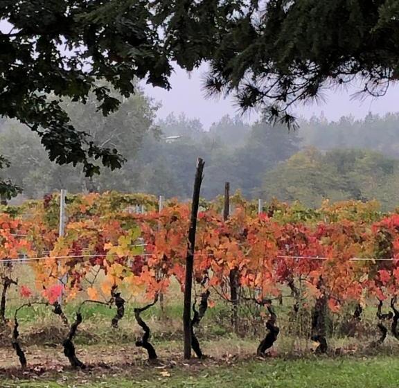 Отель Cascina La Maddalena Bed & Wine