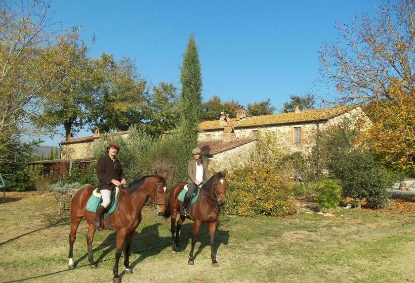 فندق Centro Ippico Della Berardenga