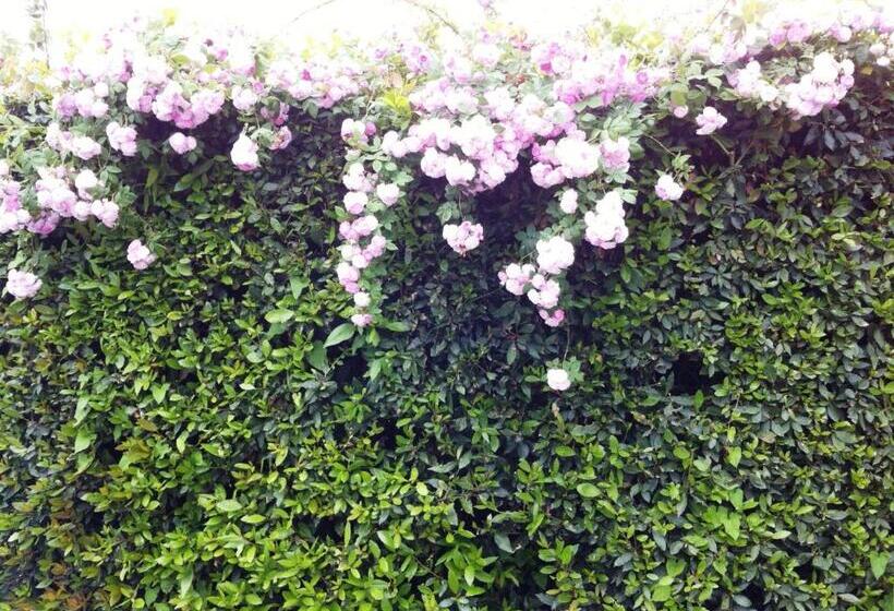 酒店 Fattoria Di Migliarino