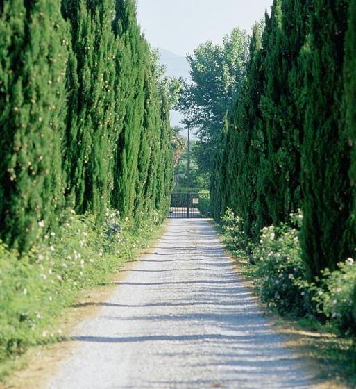 酒店 Fattoria Di Migliarino