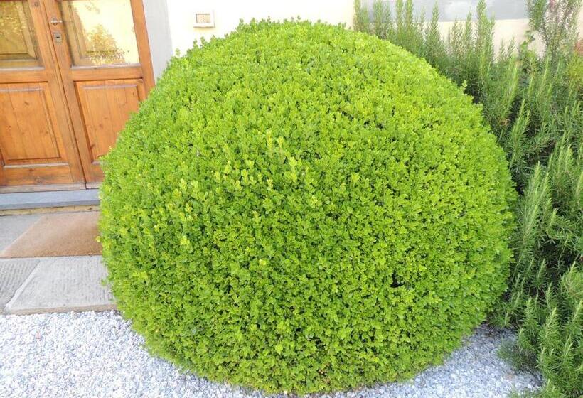 酒店 Fattoria Di Migliarino