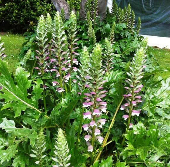 酒店 Fattoria Di Migliarino