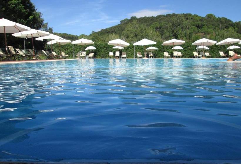 Отель Fattoria La Steccaia