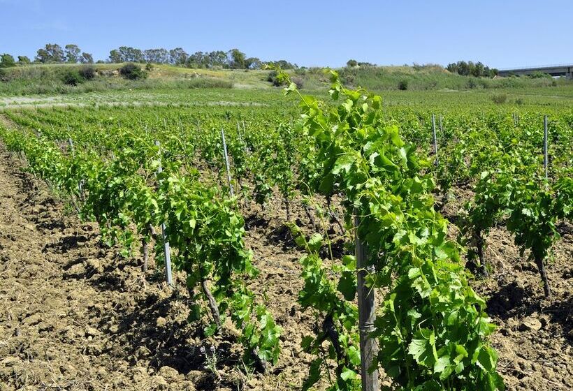 酒店 Fattoria Manostalla Villa Chiarelli