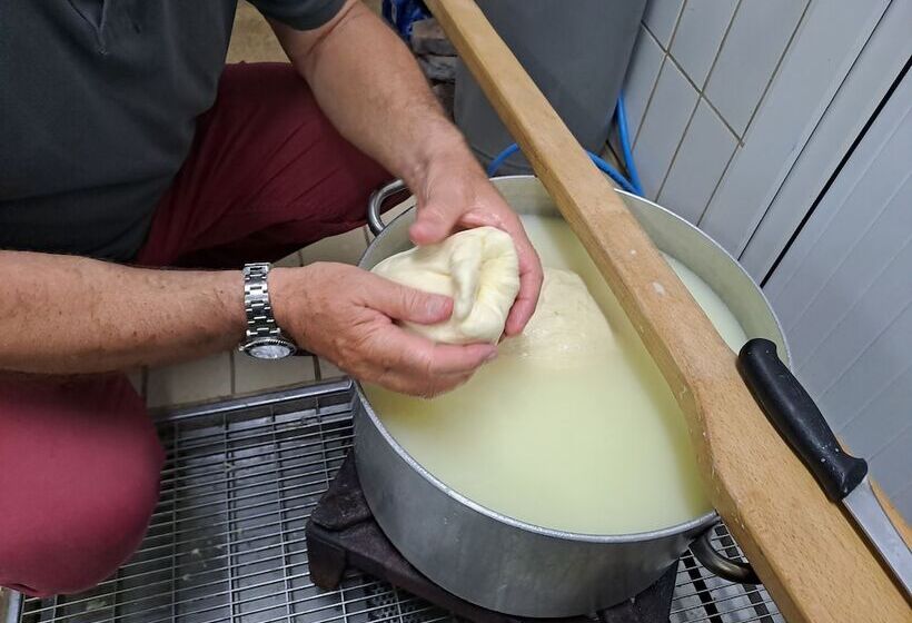 酒店 Fattoria Manostalla Villa Chiarelli