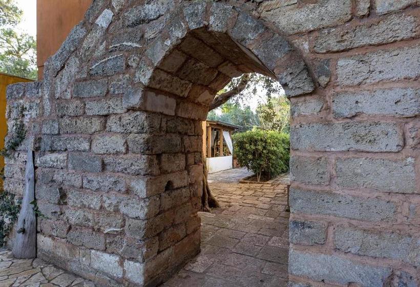 בית מלון כפרי Il Villaggetto