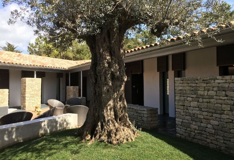 בית מלון כפרי Ile De Re