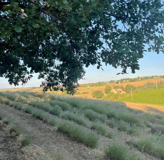 בית מלון כפרי L Alpenice Bioagriturismo