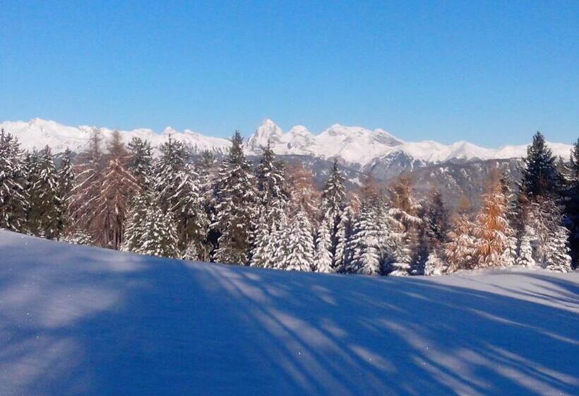 בית מלון כפרי Pension Wiesenhof