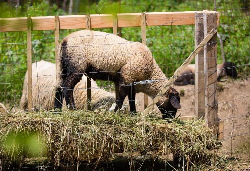 酒店 Polisena L Altro Agriturismo Veg