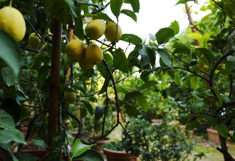 호텔 Relais Casamassima