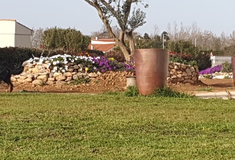 Отель Restaurant L'espassole