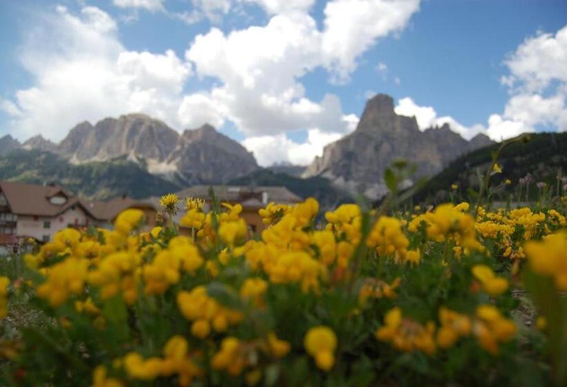 Nei Y Suredl Nevesole