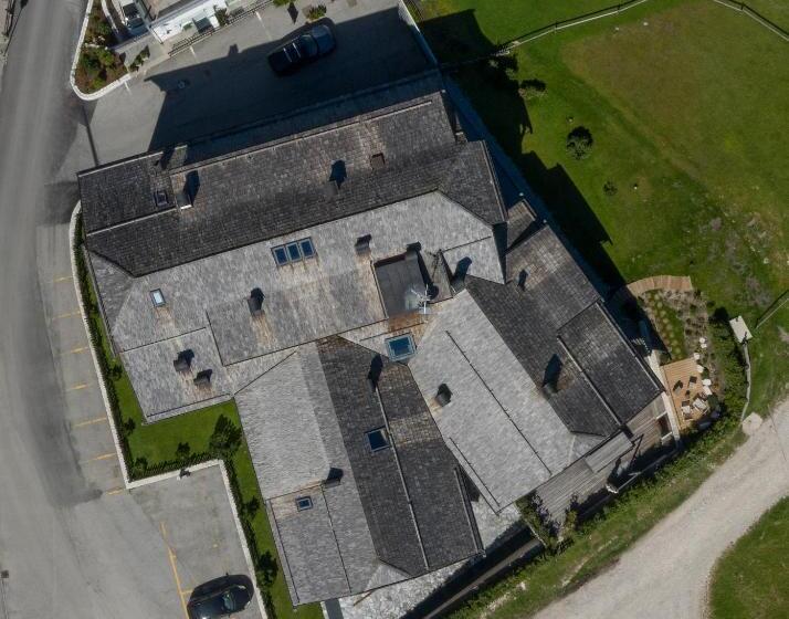 Nei Y Suredl Nevesole