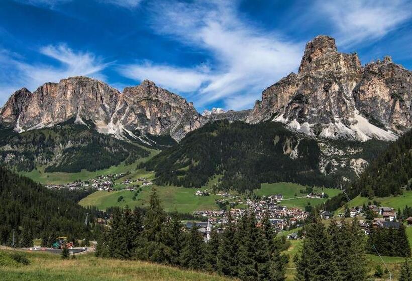 Nei Y Suredl Nevesole