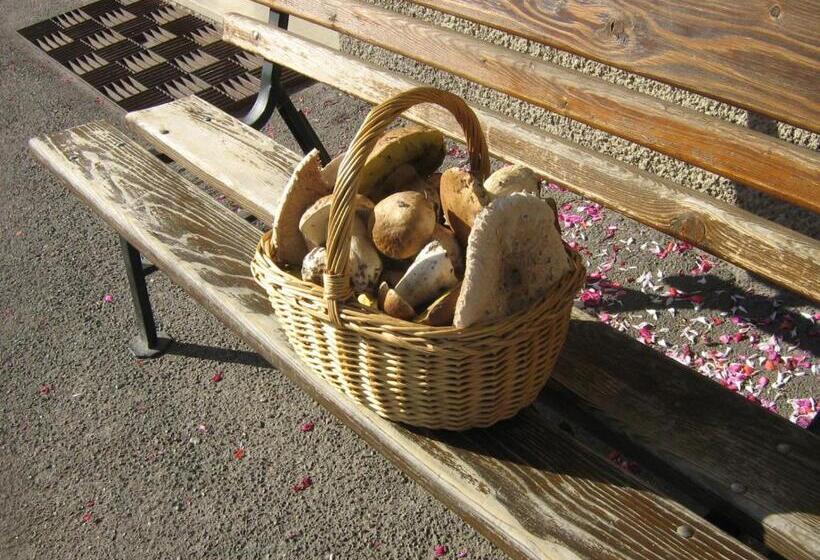 پانسیون Abete Rosso