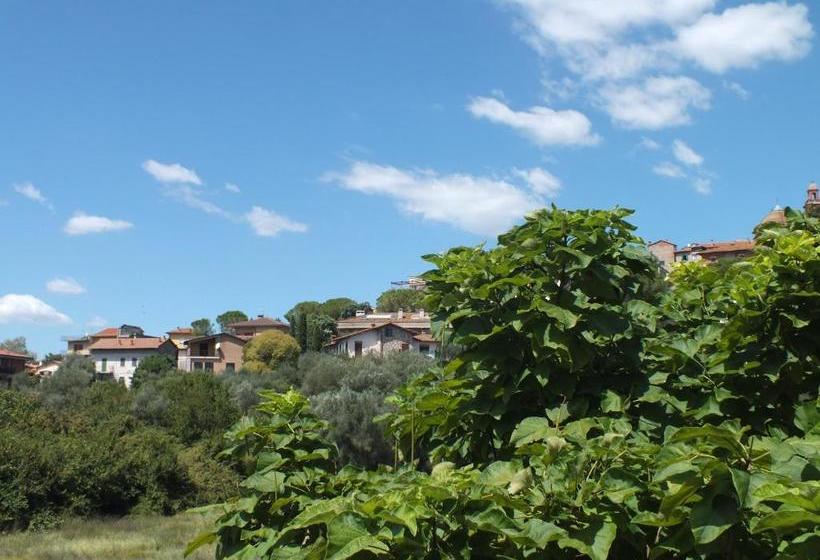 פנסיון Affittacamere Le Petit Palais