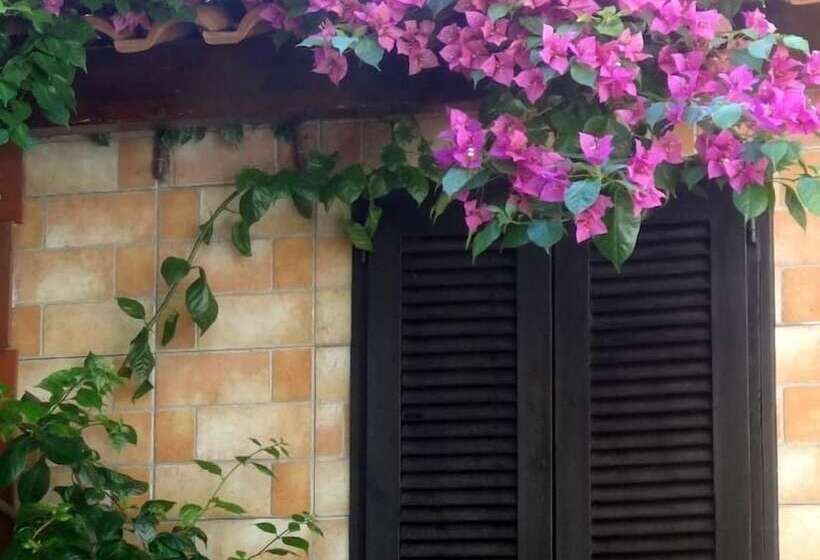 פנסיון Capricornio Club