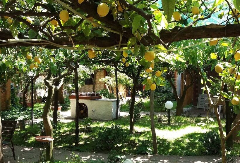 פנסיון Capricornio Club