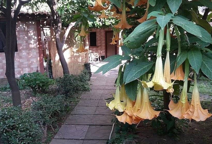 بنسيون Capricornio Club