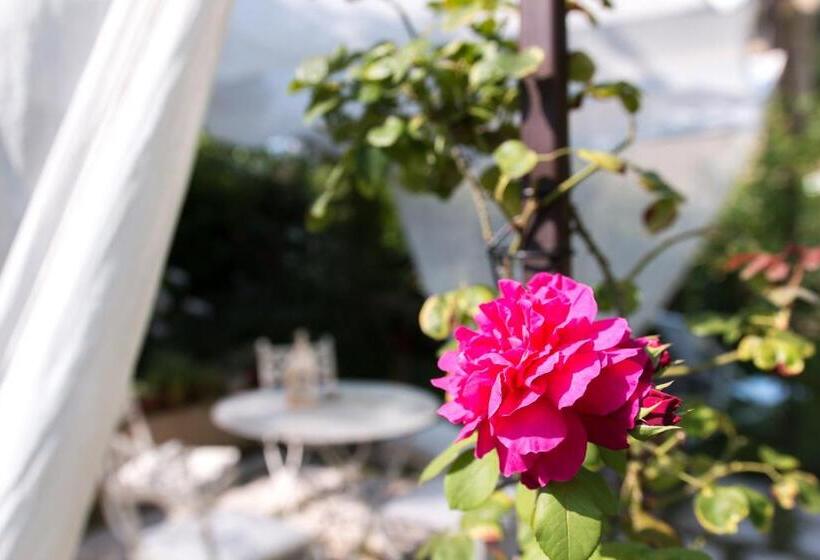 بنسيون Casina Le Conserve