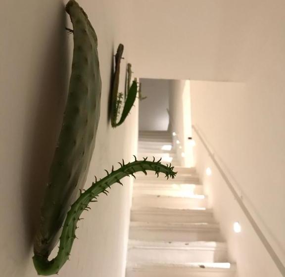 פנסיון Chichouse Guest House