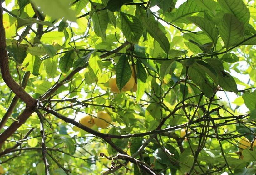 膳宿费 I Mc Ioamocagliari