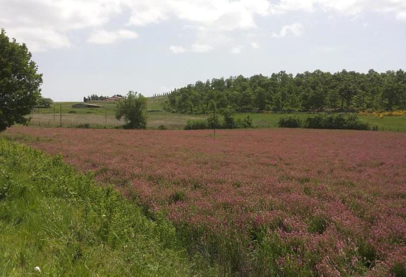 بنسيون Il Pozzo Della Citerna