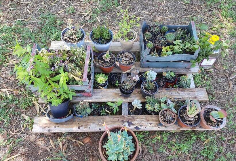 Pensão Regina Isabella Rooms