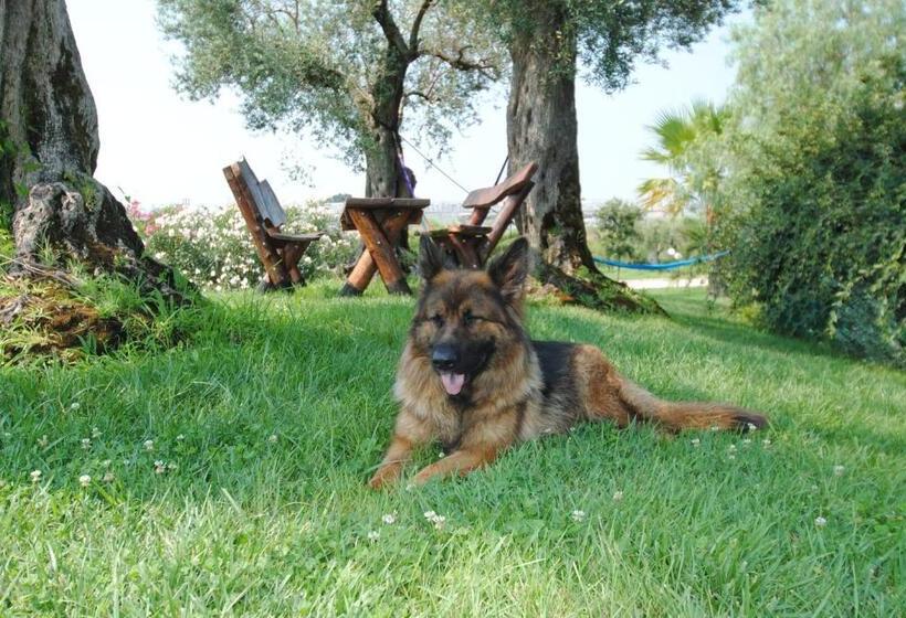 פנסיון Villa Primavera