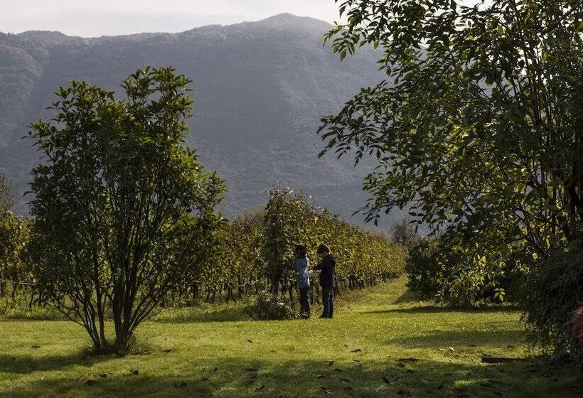 Vivere Suites & Rooms