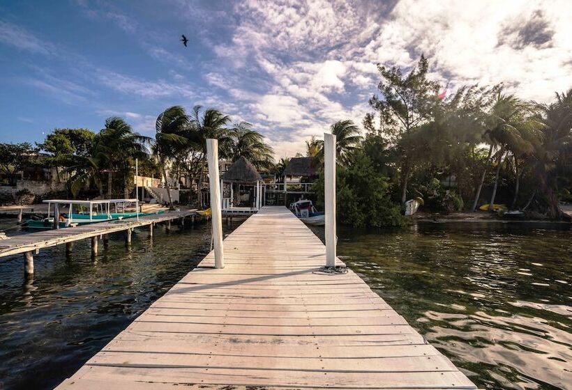 호텔 Boutique Skulls Landing