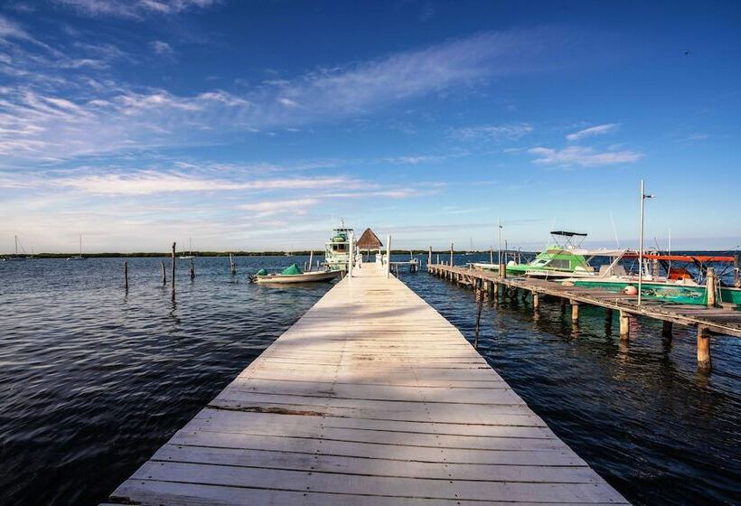 호텔 Boutique Skulls Landing