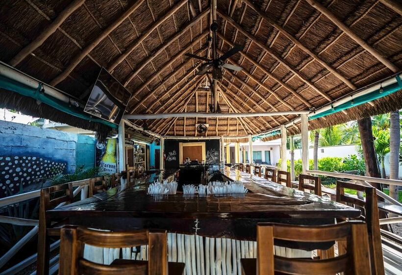 호텔 Boutique Skulls Landing