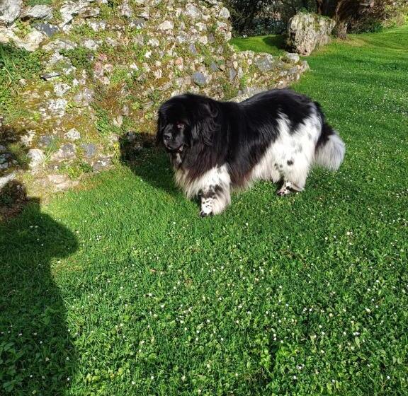 Отель Ker Annick