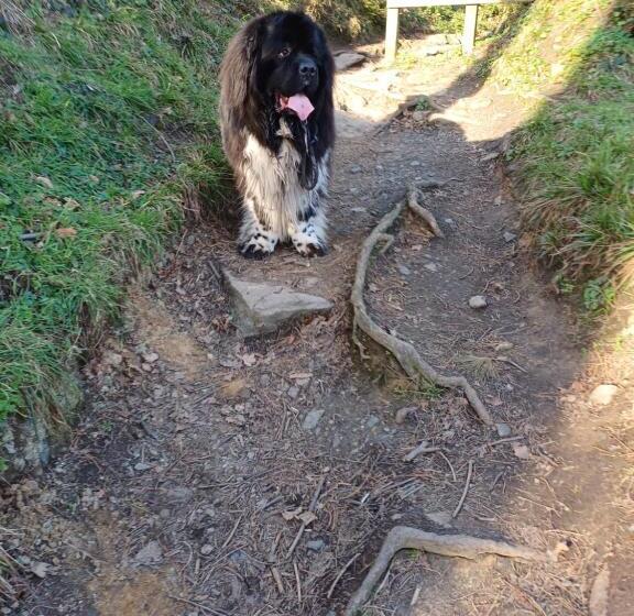 Отель Ker Annick