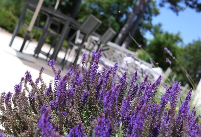 膳宿费 Evidence Maison D Hôtes