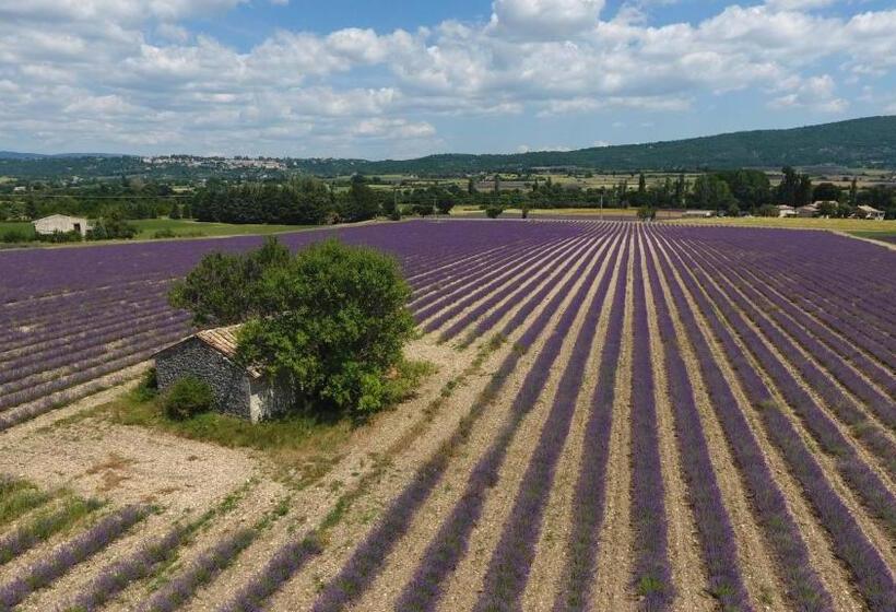 펜션 La Bastide Des Bourguets Adults Only, Mont Ventoux