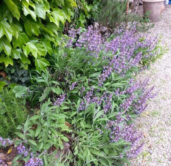 ペンション La Cour Verte