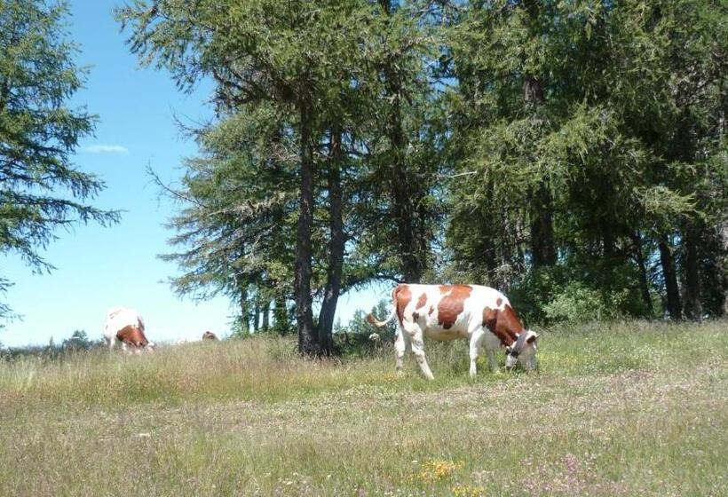 Résidence Les Ecrins