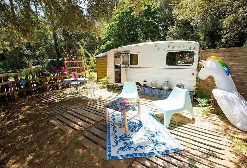 ベッドアンドブレックファースト Glamping Insolite Dolly Waikiki