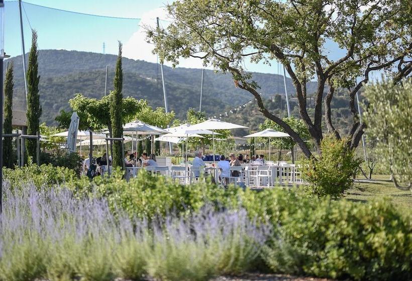 Le Clos Des Oliviers