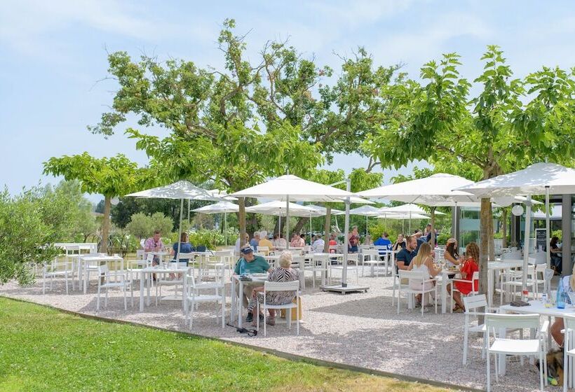 Le Clos Des Oliviers